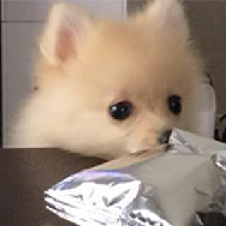 bu
