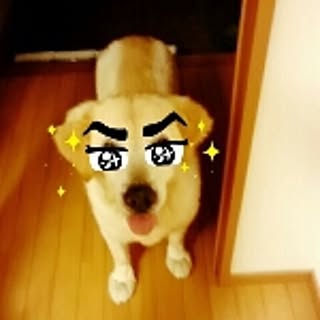 mikamika