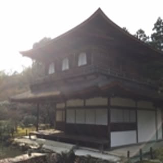 maimai