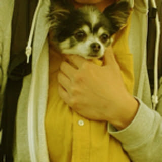 Kohei