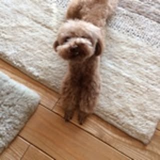 nano