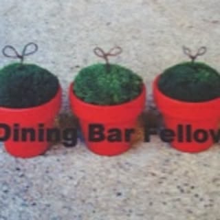 Fellow
