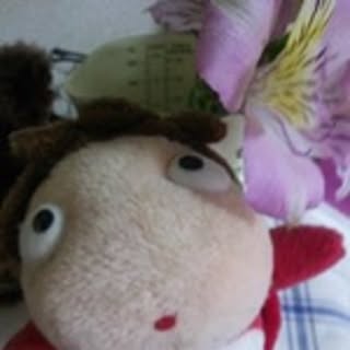 Asako