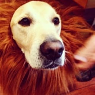Annie
