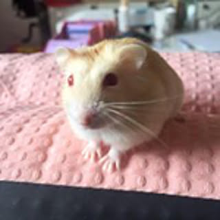 mizuki