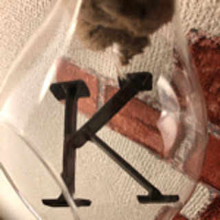 Kouichi