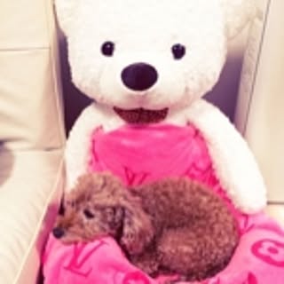 coco