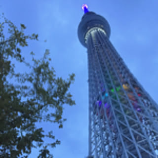 moa
