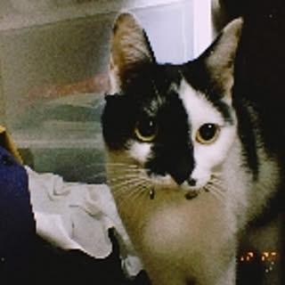 suke