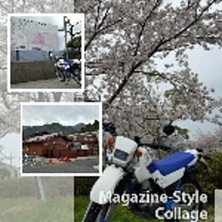 hyoma_m