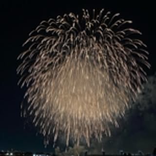 yuyu