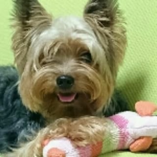 teru