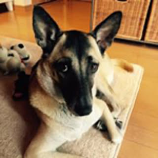 Yuko