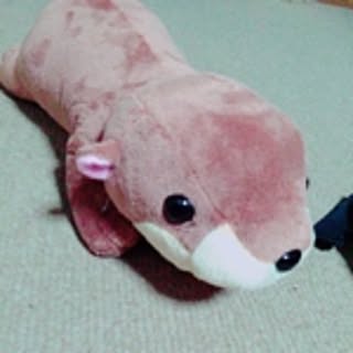 nonrsmynh