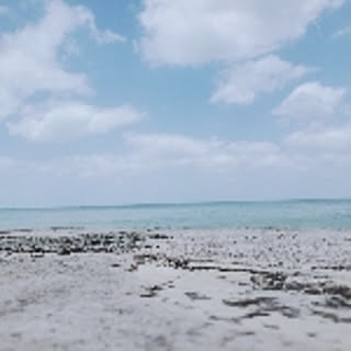 risa