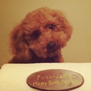 HIRO4