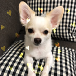 emi