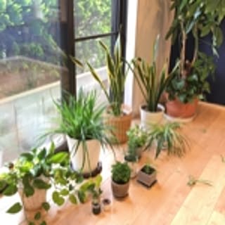 sundaymorning_ss