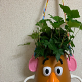 umeko