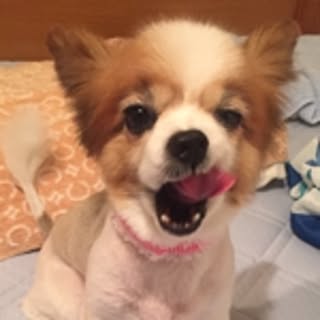 kazufuku