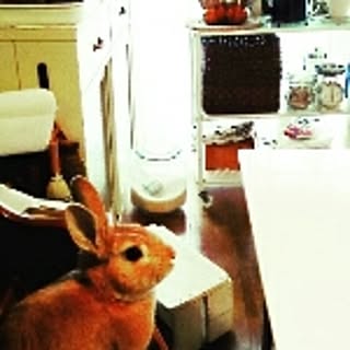 jerry