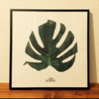 tonpei