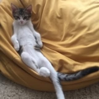 mumu