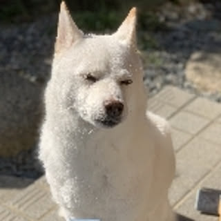 866