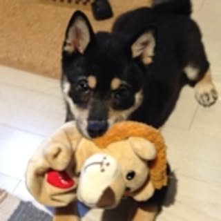 Yu