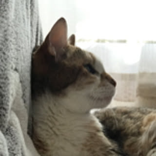 cassy