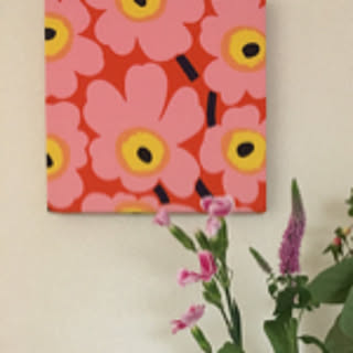 mimosa