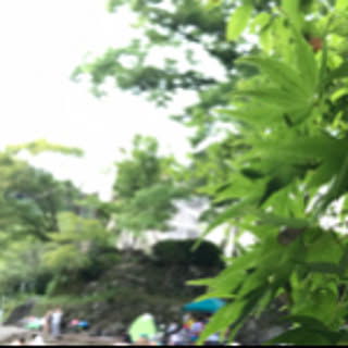 ishi