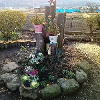 natsuko121208150812