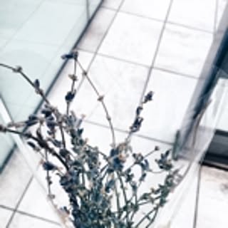 miy_u0214