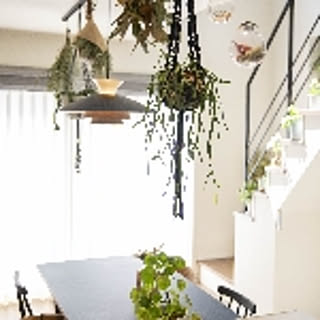 naho