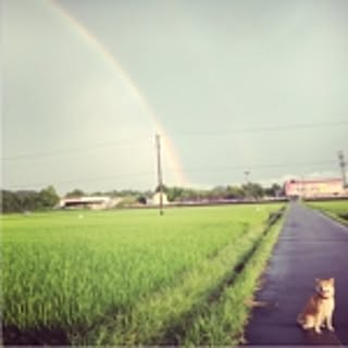 miki-fm.244