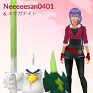 NEEESAN0401