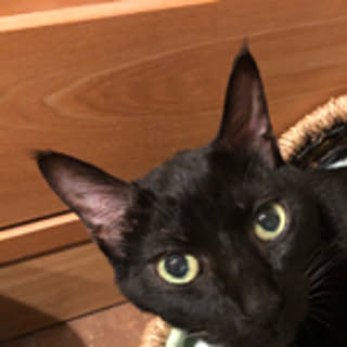 jijinero