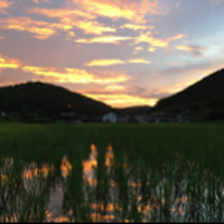 kukuru