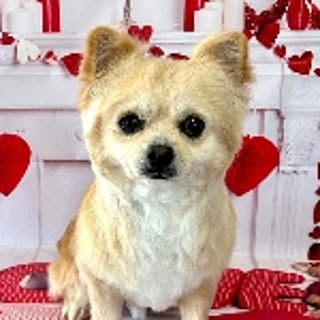 hiro
