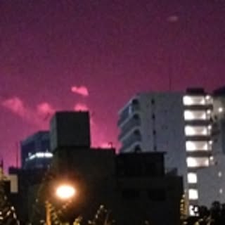tanakann