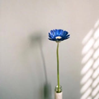 ___m