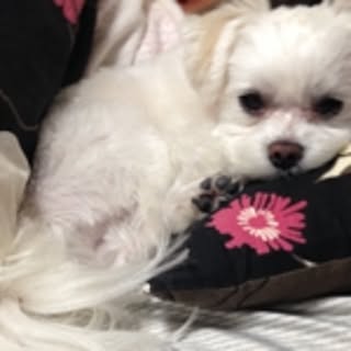 erichiro