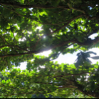 yumeno