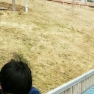 Masako