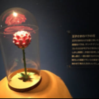 k_m