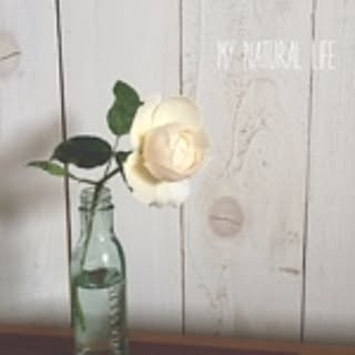 my