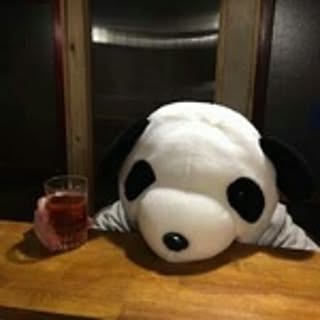 hachi-house