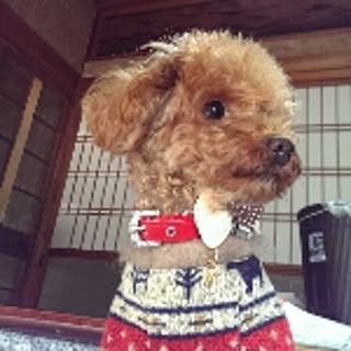 Tomoki