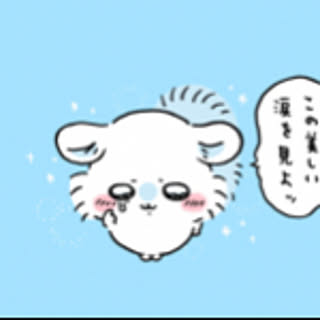 takesan41229